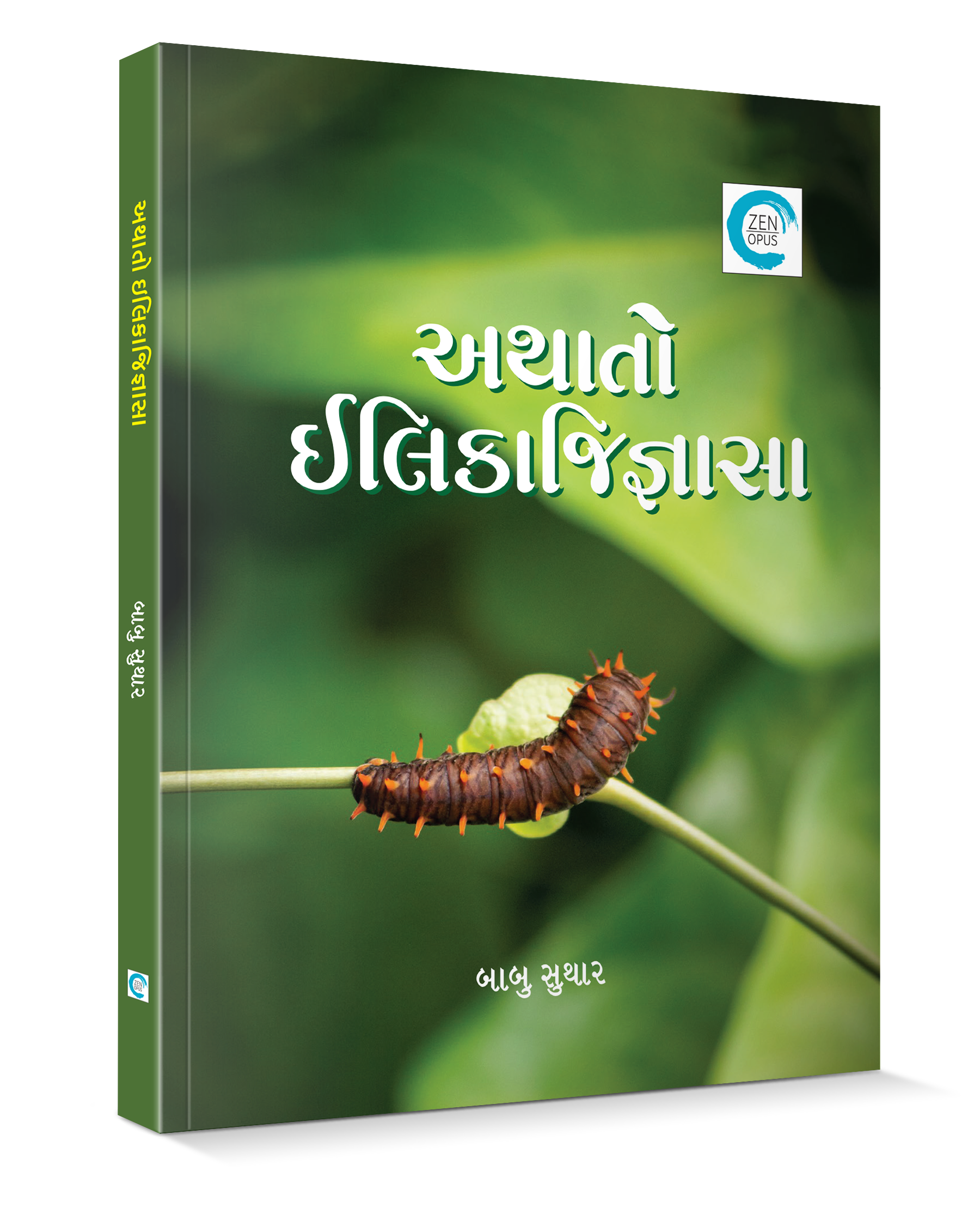 અથાતો ઇલિકાજિજ્ઞાસા